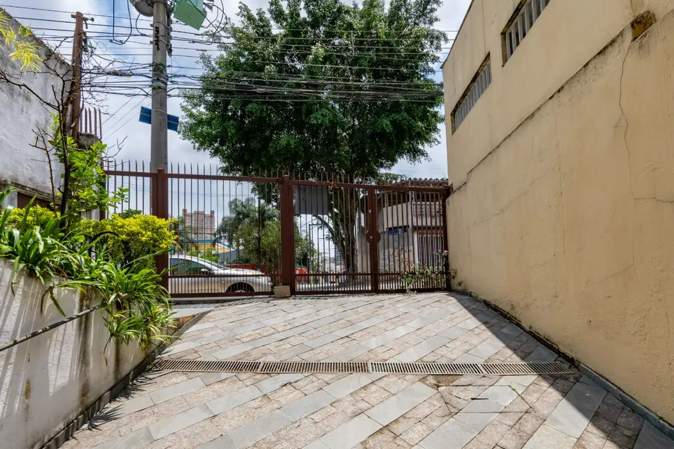 Sobrado com 3 quartos à venda, 191m2 em Alto da Lapa, São Paulo - SP - imagem 8 Foto 8 de Sobrado com 3 quartos à venda, 191m2 em Alto da Lapa, São Paulo - SP