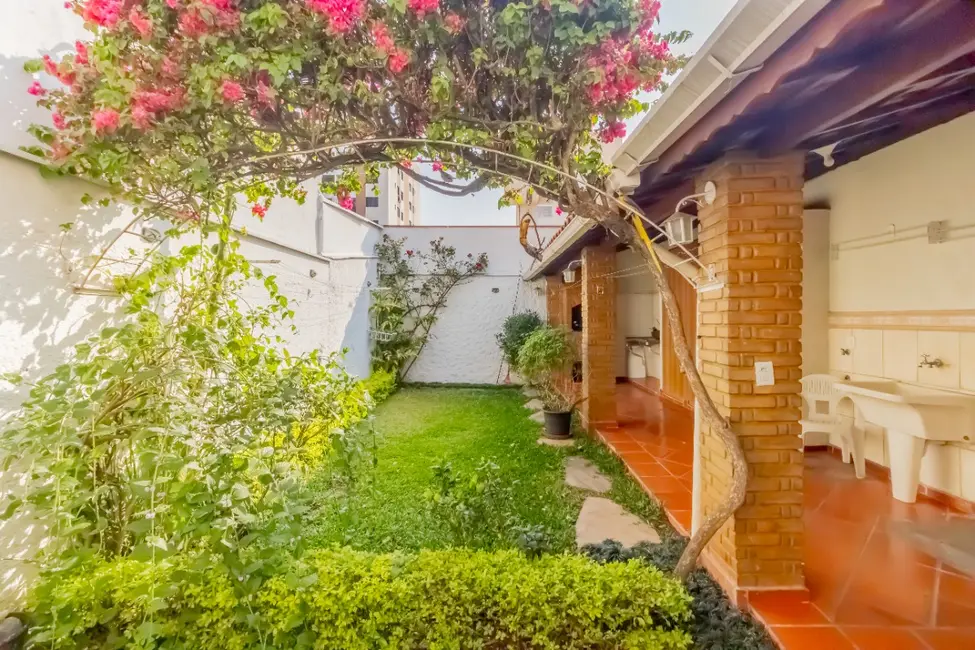 Casa com 3 quartos à venda, 151m2 em Caxingui, São Paulo - SP - imagem 6 Foto 6 de Casa com 3 quartos à venda, 151m2 em Caxingui, São Paulo - SP