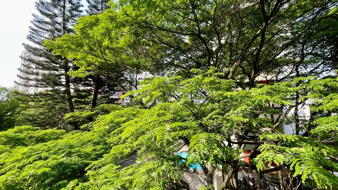 Apartamento com 3 quartos à venda, 240m2 em Campo Belo, São Paulo - SP - imagem 7 Foto 7 de Apartamento com 3 quartos à venda, 240m2 em Campo Belo, São Paulo - SP