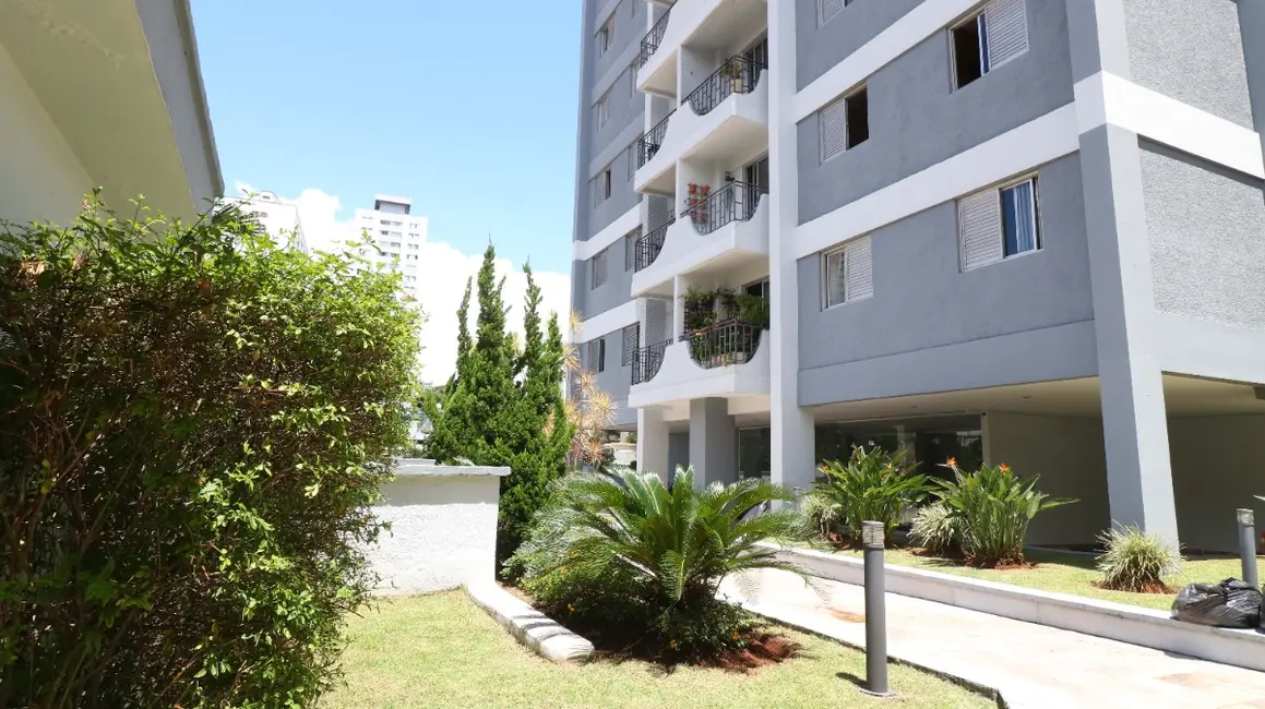 Foto 8 de Apartamento com 3 quartos à venda, 73m2 em Água Fria, São Paulo - SP