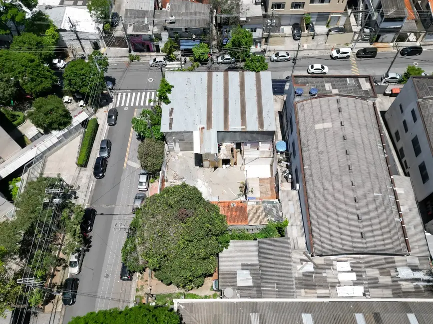 Terreno / Lote à venda em Vila Paulista, São Paulo - SP - imagem 8 Foto 8 de Terreno / Lote à venda em Vila Paulista, São Paulo - SP