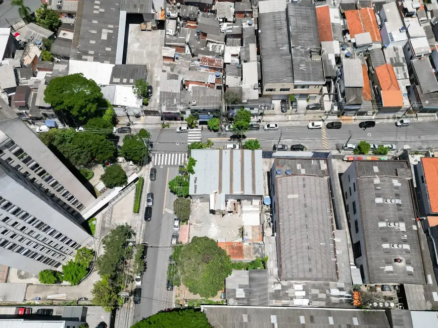 Terreno / Lote à venda em Vila Paulista, São Paulo - SP - imagem 9 Foto 9 de Terreno / Lote à venda em Vila Paulista, São Paulo - SP