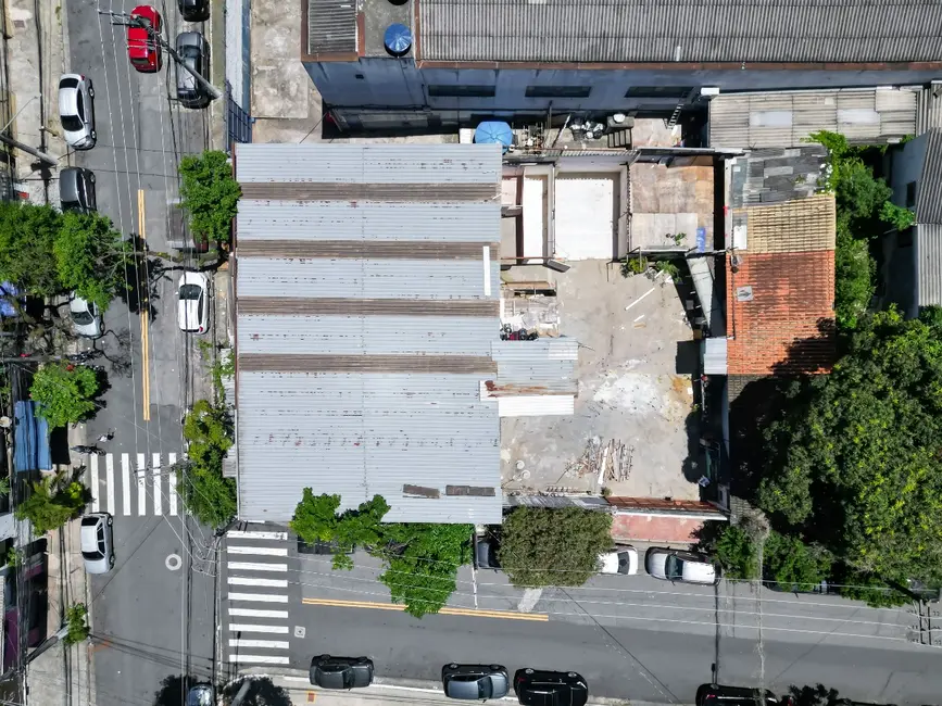 Terreno / Lote à venda em Vila Paulista, São Paulo - SP - imagem 4 Foto 4 de Terreno / Lote à venda em Vila Paulista, São Paulo - SP