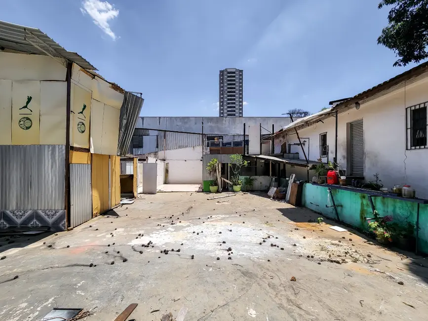 Terreno / Lote à venda em Vila Paulista, São Paulo - SP - imagem 3 Foto 3 de Terreno / Lote à venda em Vila Paulista, São Paulo - SP