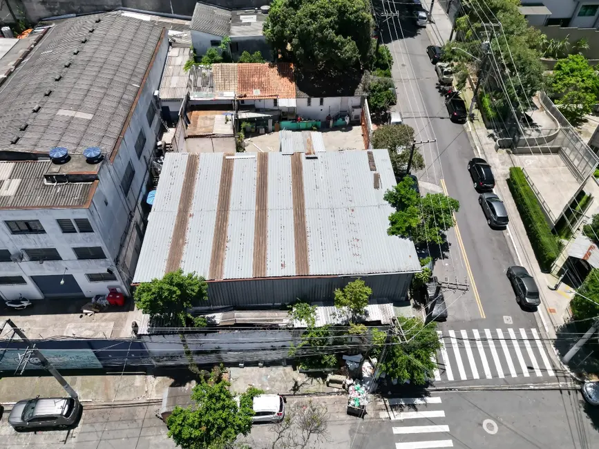 Terreno / Lote à venda em Vila Paulista, São Paulo - SP - imagem 6 Foto 6 de Terreno / Lote à venda em Vila Paulista, São Paulo - SP