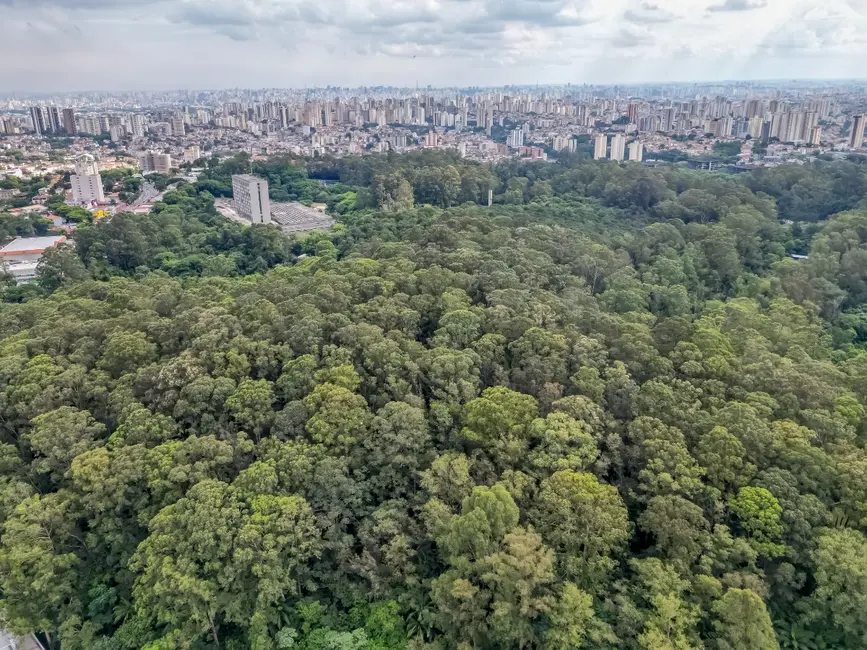 Apartamento com 3 quartos à venda, 101m2 em Tucuruvi, São Paulo - SP - imagem 7 Foto 7 de Apartamento com 3 quartos à venda, 101m2 em Tucuruvi, São Paulo - SP