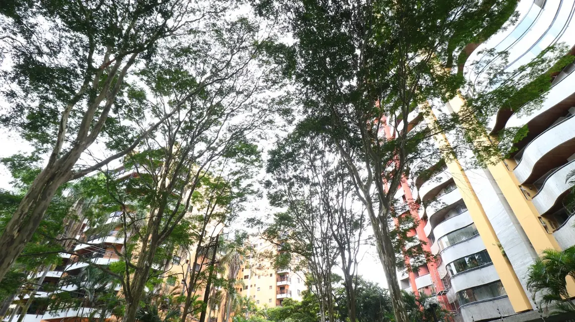 Apartamento com 3 quartos à venda, 160m2 em Vila Andrade, São Paulo - SP - imagem 3 Foto 3 de Apartamento com 3 quartos à venda, 160m2 em Vila Andrade, São Paulo - SP