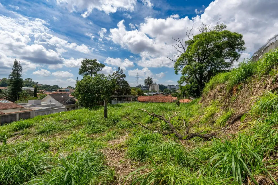 Foto 8 de Terreno / Lote à venda em Vila Albertina, São Paulo - SP