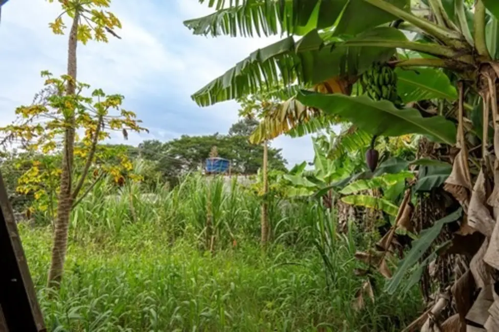 Foto 8 de Terreno / Lote à venda em Cidade Dutra, São Paulo - SP