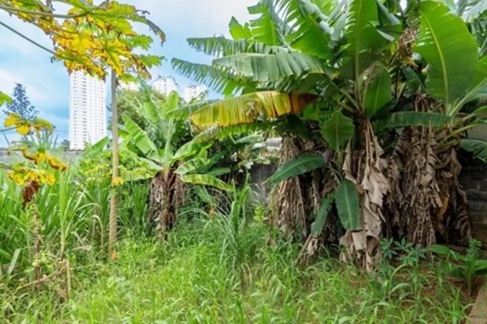 Foto 9 de Terreno / Lote à venda em Cidade Dutra, São Paulo - SP