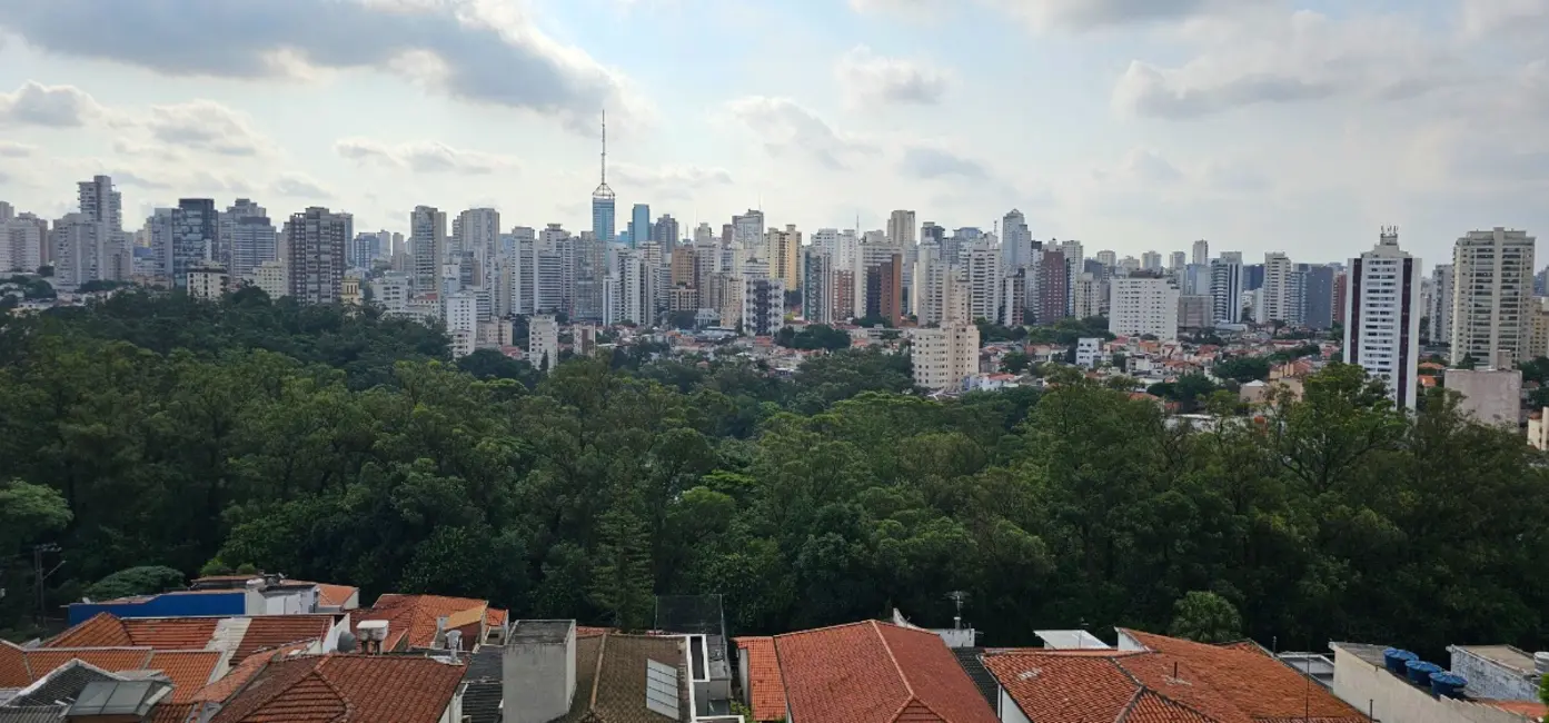 Apartamento com 4 quartos à venda, 248m2 em Aclimação, São Paulo - SP - imagem 5 Foto 5 de Apartamento com 4 quartos à venda, 248m2 em Aclimação, São Paulo - SP