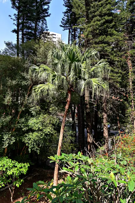 Apartamento com 3 quartos à venda, 128m2 em Vila Nova Conceição, São Paulo - SP - imagem 4 Foto 4 de Apartamento com 3 quartos à venda, 128m2 em Vila Nova Conceição, São Paulo - SP