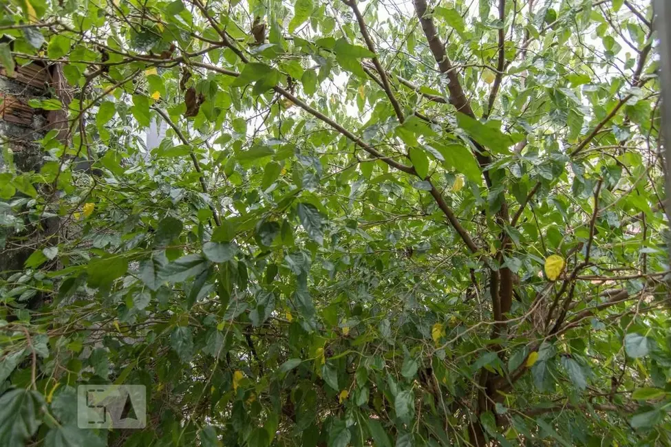 Sobrado com 3 quartos à venda, 145m2 em Jardim Monjolo, São Paulo - SP - imagem 8 Foto 8 de Sobrado com 3 quartos à venda, 145m2 em Jardim Monjolo, São Paulo - SP