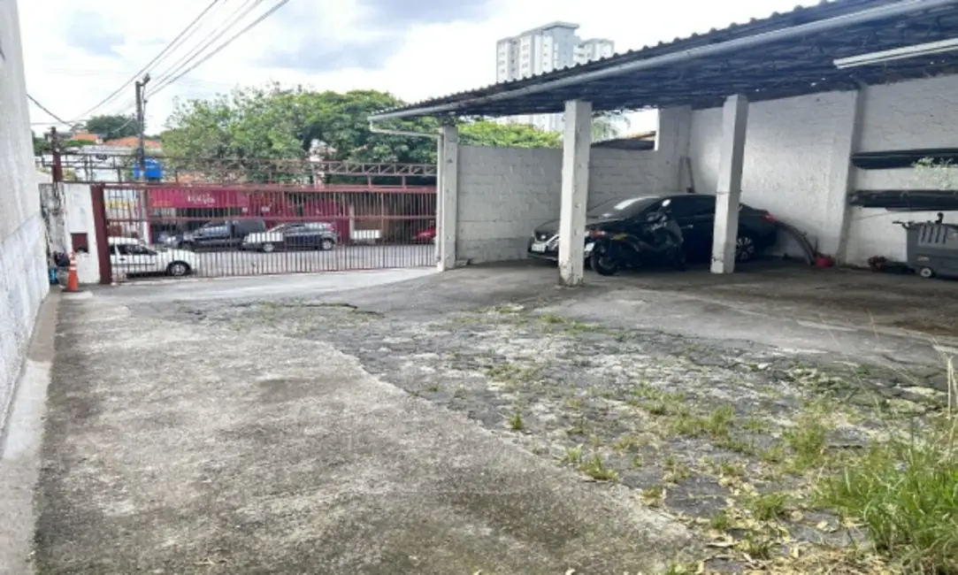 Terreno / Lote à venda em Vila Indiana, São Paulo - SP - imagem 5 Foto 5 de Terreno / Lote à venda em Vila Indiana, São Paulo - SP