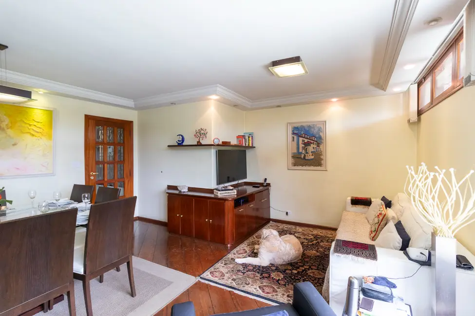 Foto 9 de Casa com 3 quartos à venda, 300m2 em Chácara Monte Alegre, São Paulo - SP