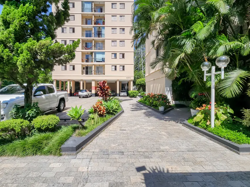 Apartamento com 3 quartos à venda, 65m2 em Pirituba, São Paulo - SP - imagem 3 Foto 3 de Apartamento com 3 quartos à venda, 65m2 em Pirituba, São Paulo - SP