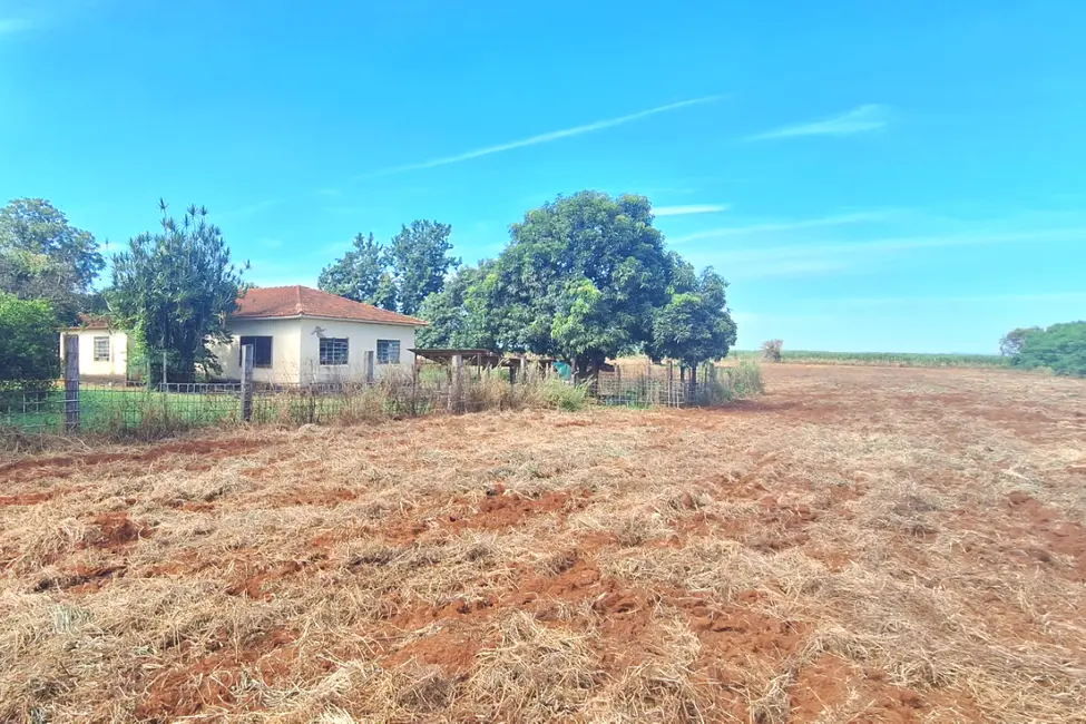 Foto 18 de Apartamento à venda, 15000m2 em Guatapara - SP