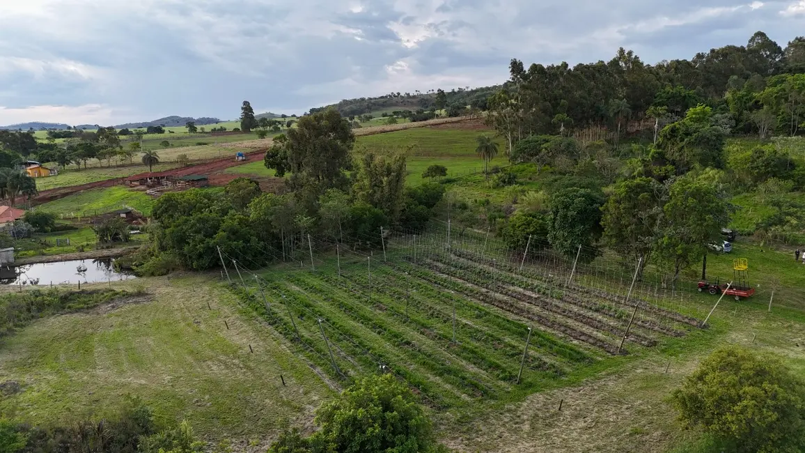 Foto 6 de Apartamento à venda em Cajuru - SP
