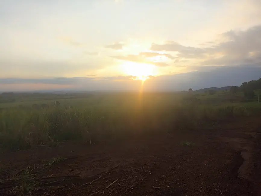 Foto 46 de Apartamento à venda em Cajuru - SP