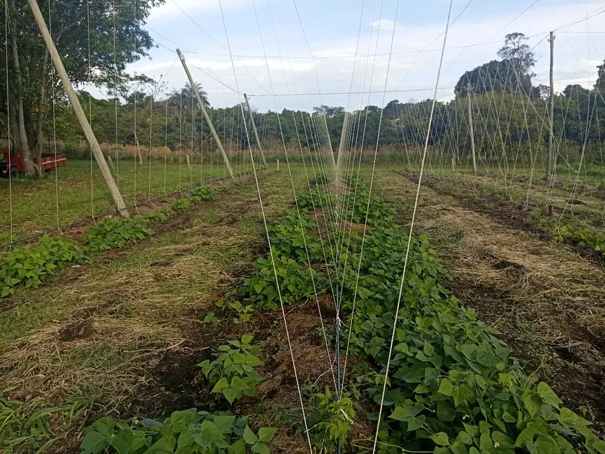 Foto 43 de Apartamento à venda em Cajuru - SP