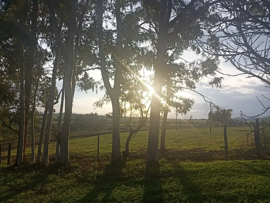 Foto 45 de Apartamento à venda em Cajuru - SP