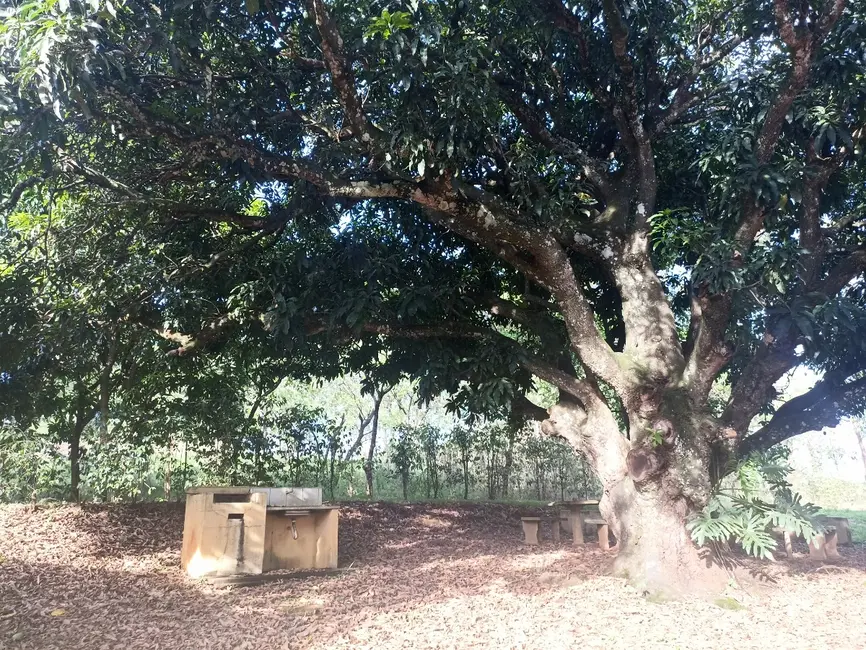 Foto 40 de Apartamento à venda em Cajuru - SP