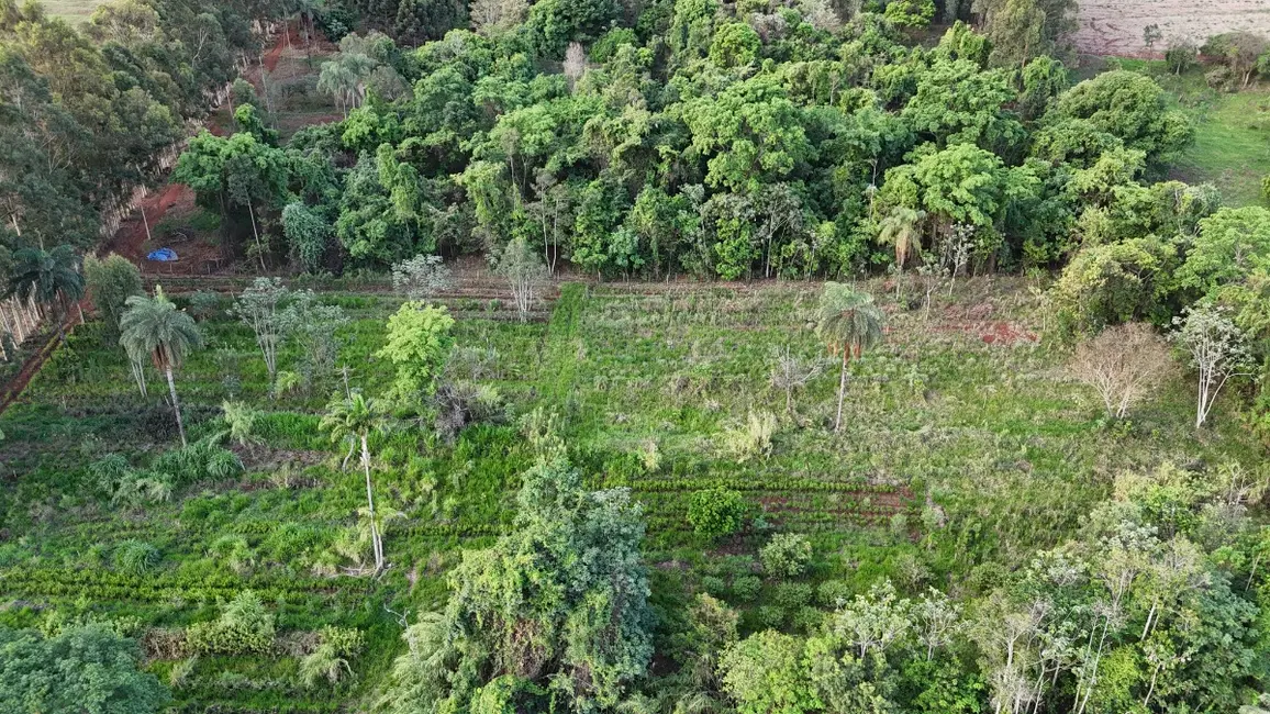 Foto 19 de Apartamento à venda em Cajuru - SP