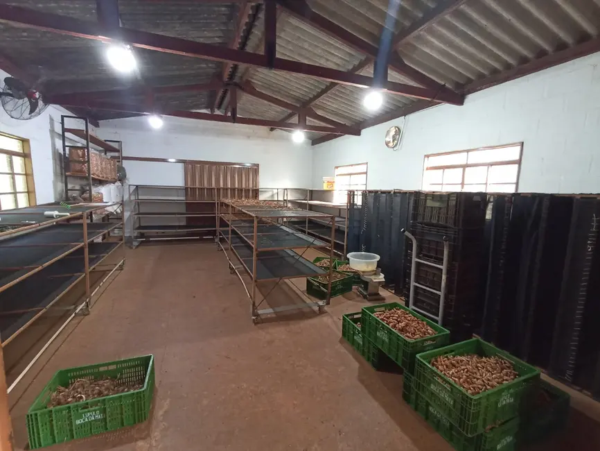 Foto 35 de Apartamento à venda em Cajuru - SP