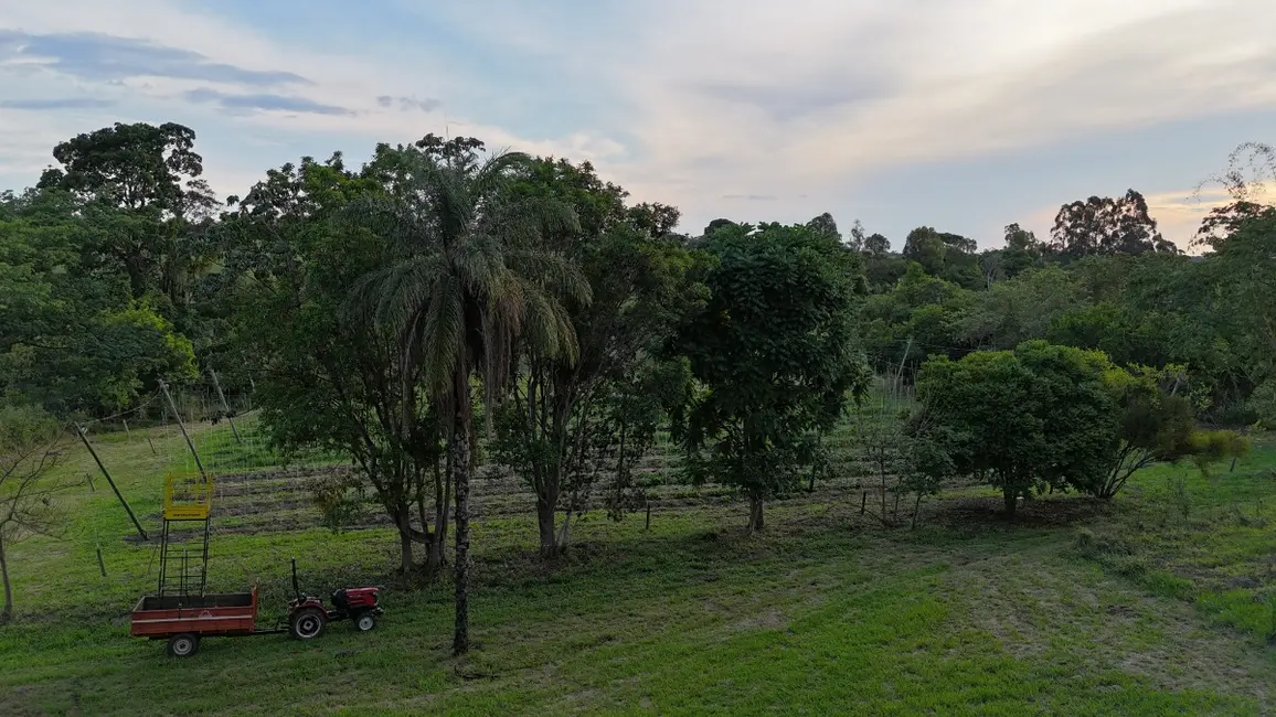Foto 4 de Apartamento à venda em Cajuru - SP