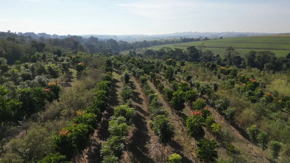 Foto 3 de Apartamento à venda em Porto Feliz - SP