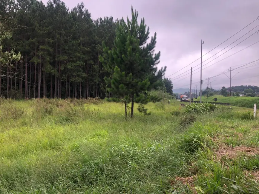 Foto 16 de Apartamento à venda em Juquitiba - SP