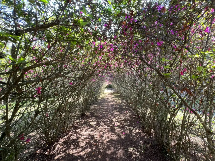 Foto 3 de Casa com 3 quartos à venda, 235m2 em Represa, Ribeirao Pires - SP