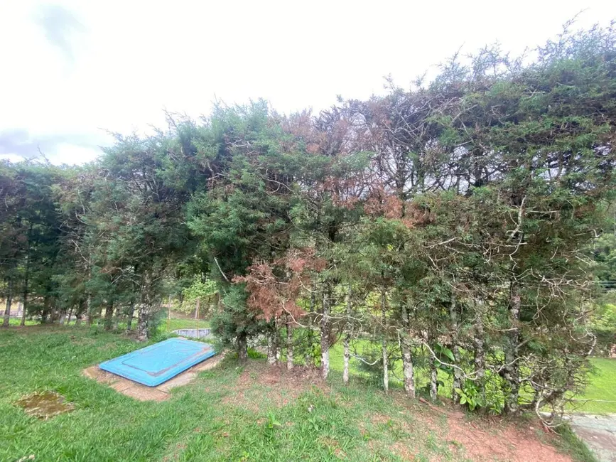 Casa com 3 quartos à venda, 5000m2 em Pau Arcado, Campo Limpo Paulista - SP - imagem 9 Foto 9 de Casa com 3 quartos à venda, 5000m2 em Pau Arcado, Campo Limpo Paulista - SP