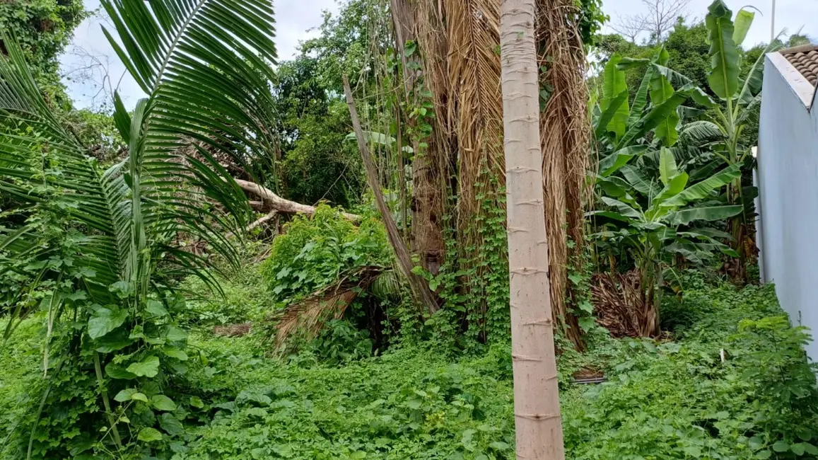 Terreno / Lote à venda em Centro, Rondonopolis - MT - imagem 3 Foto 3 de Terreno / Lote à venda em Centro, Rondonopolis - MT