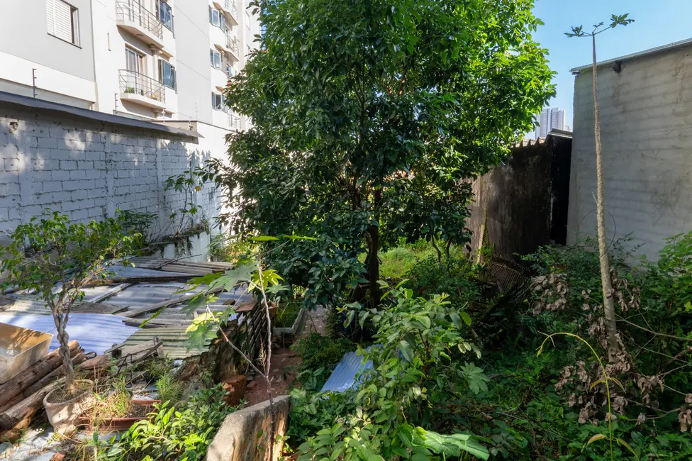 Terreno / Lote à venda em Vila Anglo Brasileira, São Paulo - SP - imagem 5 Foto 5 de Terreno / Lote à venda em Vila Anglo Brasileira, São Paulo - SP
