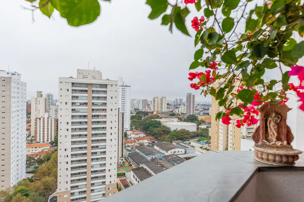 Apartamento com 3 quartos à venda, 92m2 em Vila Mascote, São Paulo - SP - imagem 7 Foto 7 de Apartamento com 3 quartos à venda, 92m2 em Vila Mascote, São Paulo - SP