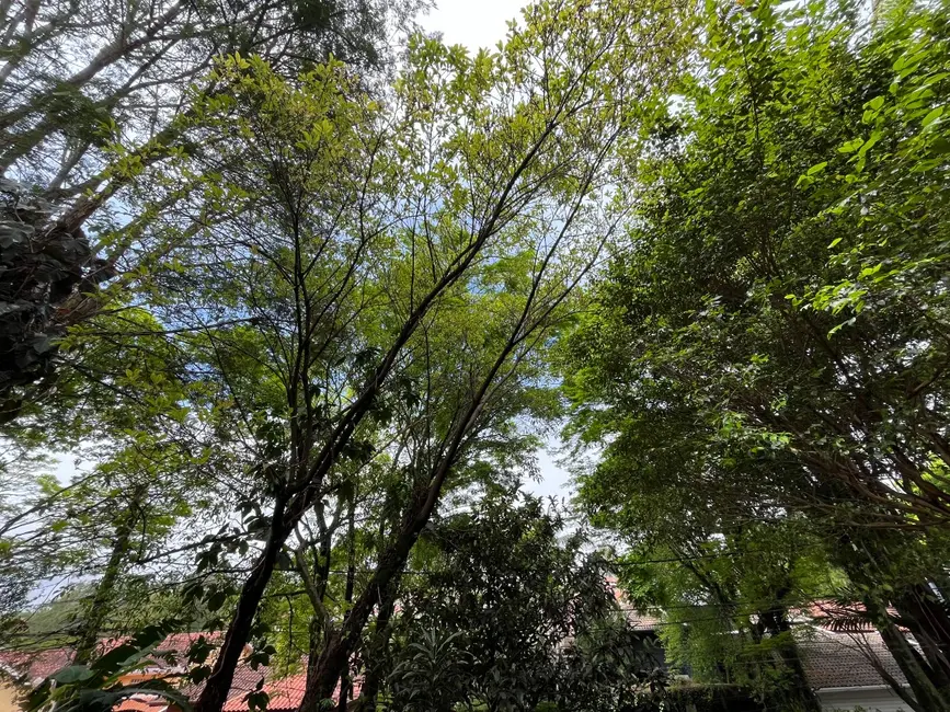 Foto 6 de Casa de Condomínio com 4 quartos à venda, 260m2 em Pinus Park, Cotia - SP