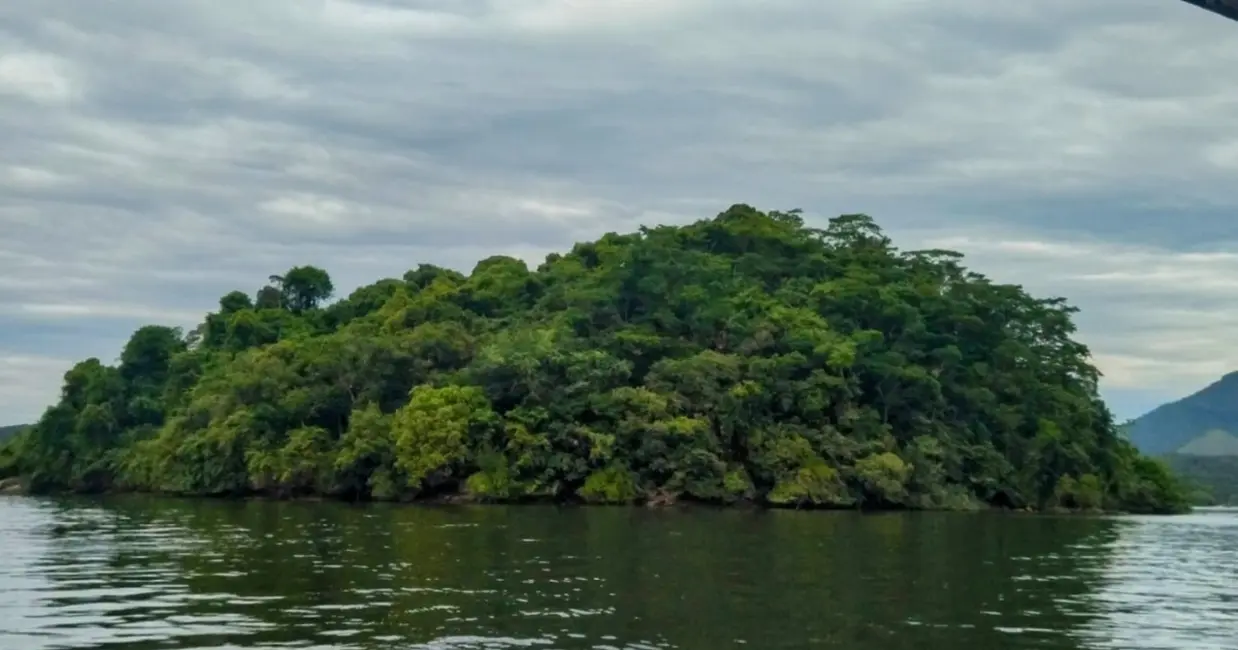 Terreno / Lote à venda, 38250m2 em Angra Dos Reis - RJ - imagem 6 Foto 6 de Terreno / Lote à venda, 38250m2 em Angra Dos Reis - RJ
