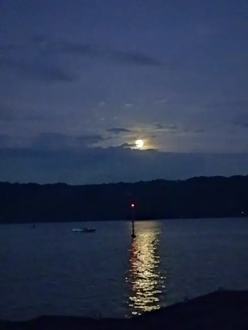 Terreno / Lote à venda, 38250m2 em Angra Dos Reis - RJ - imagem 8 Foto 8 de Terreno / Lote à venda, 38250m2 em Angra Dos Reis - RJ