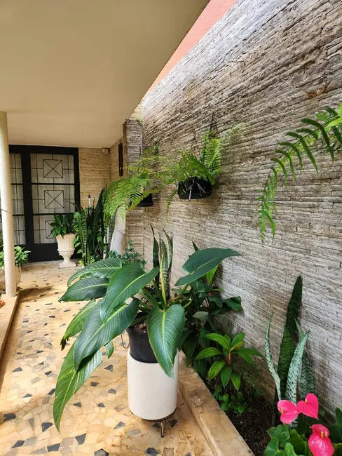 Sobrado com 4 quartos à venda, 280m2 em Vila Monumento, São Paulo - SP - imagem 6 Foto 6 de Sobrado com 4 quartos à venda, 280m2 em Vila Monumento, São Paulo - SP