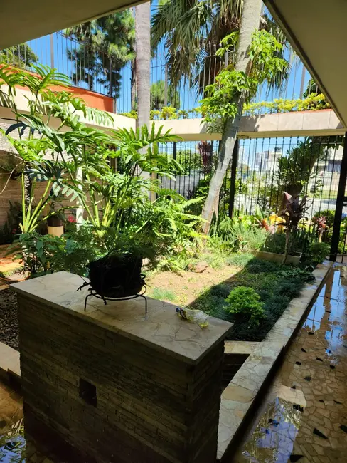 Sobrado com 4 quartos à venda, 280m2 em Vila Monumento, São Paulo - SP - imagem 4 Foto 4 de Sobrado com 4 quartos à venda, 280m2 em Vila Monumento, São Paulo - SP