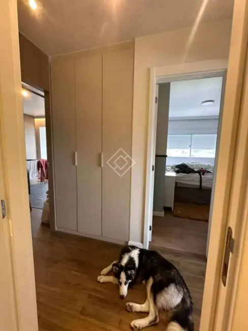 Foto 8 de Apartamento com 3 quartos à venda, 92m2 em Vila Anastácio, São Paulo - SP