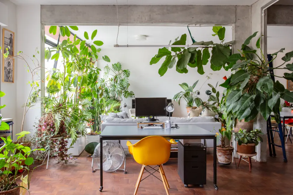 Apartamento com 2 quartos à venda, 146m2 em Barra Funda, São Paulo - SP - imagem 3 Foto 3 de Apartamento com 2 quartos à venda, 146m2 em Barra Funda, São Paulo - SP