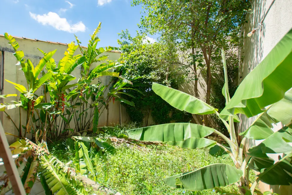 Foto 1 de Casa com 5 quartos à venda, 253m2 em Vila Madalena, São Paulo - SP