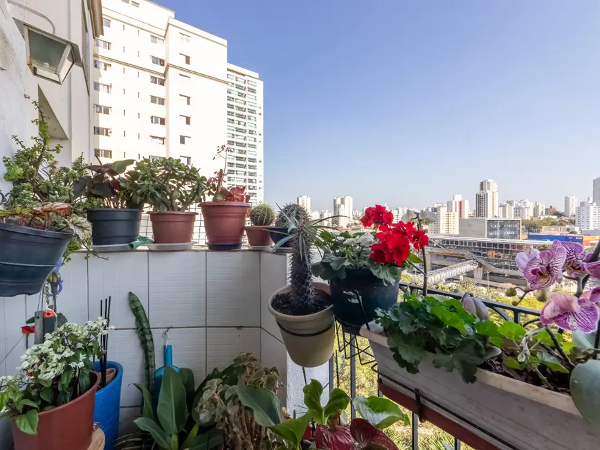 Foto 6 de Apartamento com 3 quartos à venda em Jardim Aeroporto, São Paulo - SP