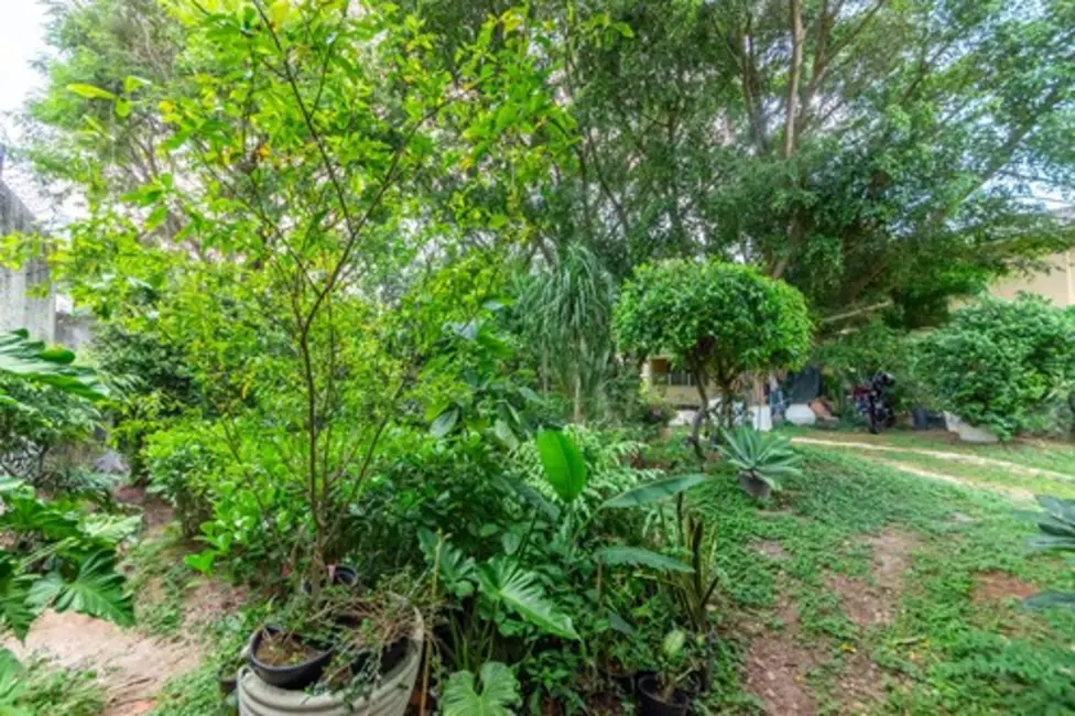 Foto 7 de Terreno / Lote à venda em Jardim Guedala, São Paulo - SP