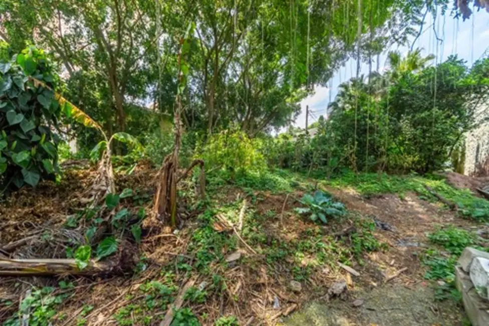 Foto 4 de Terreno / Lote à venda em Jardim Guedala, São Paulo - SP