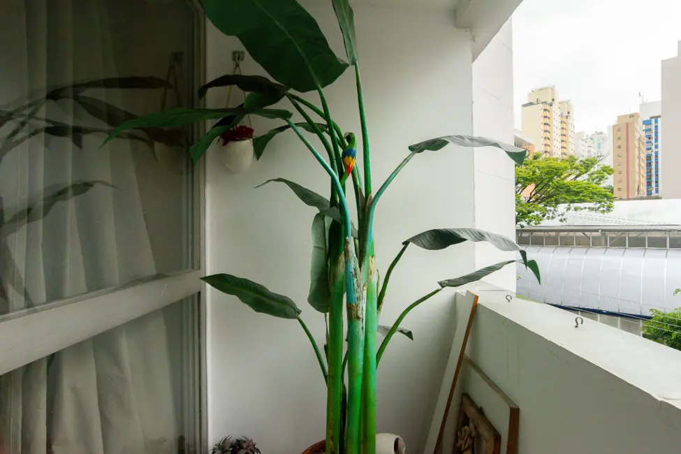 Foto 3 de Apartamento com 3 quartos à venda, 90m2 em Pinheiros, São Paulo - SP