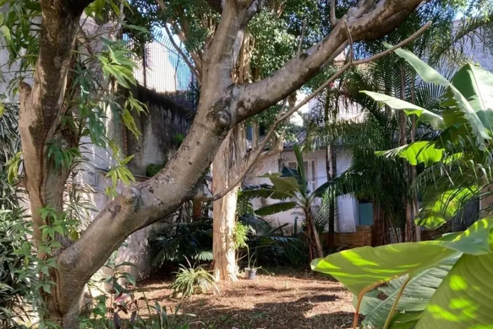 Foto 6 de Sobrado com 4 quartos à venda, 235m2 em Indianópolis, São Paulo - SP