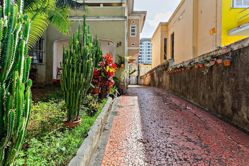 Foto 3 de Casa com 3 quartos à venda, 250m2 em Campos Elíseos, São Paulo - SP